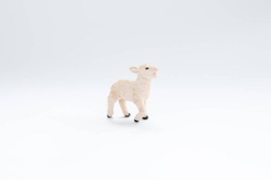 beyaz arkaplanda oyuncak kuzu