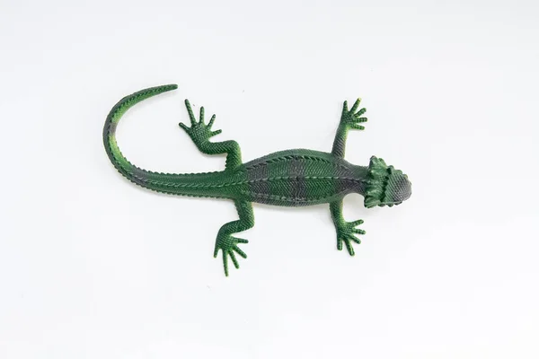 Lagarto Brinquedo Verde Fundo Branco — Fotografia de Stock