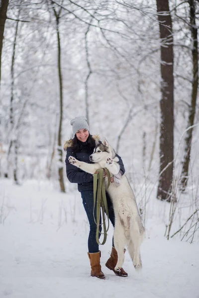 Frau Mit Husky Hund Winter Schnee — Stockfoto