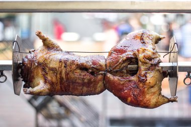 Tükürük şişüzerinde iştah açıcı ızgara ördek. Geleneksel barbeküde kavrulmuş. Kavurma hazırlanmış koç ördek pişmiş et Sıcak kömürler üzerinde bütün karkas ördek kavurma açık catered olay gıda pazarı sokak.