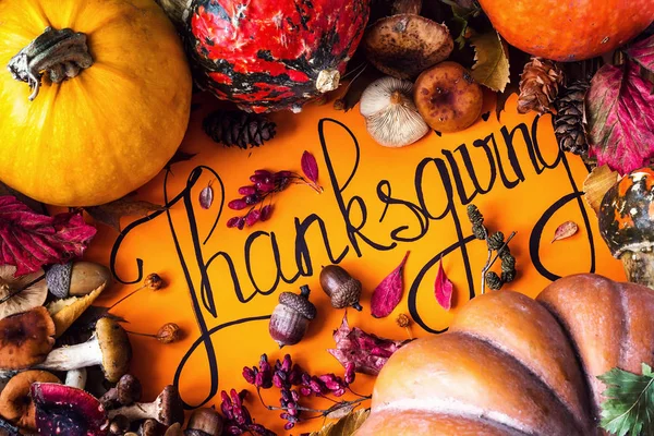 Happy Thanksgiving Day ünnep háttér képeslap koncepció bőségszaru teljes betakarítás gyümölcs zöldség kézzel rajzolt üdvözlőlap őszi levelek tök gomba makk csendélet rusztikus felülnézeti lapos laikus tag — Stock Fotó