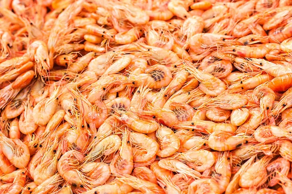 Shrimps background texture. A lot of sea shrimp or pattern of krill. Sea food like shrimp or krill on the street food festival. Steaming prawns. Shot with a selective focus.