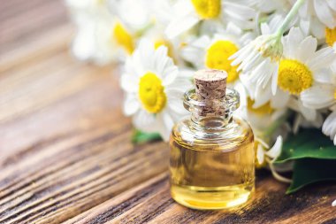 Uçucu yağ taze papatya çiçeği, güzellik bakımı ile cam şişede. Spa kavramı. Seçici odak. Kokulu yağ ahşap masa yatay üzerinde makro papatya çiçek,. 