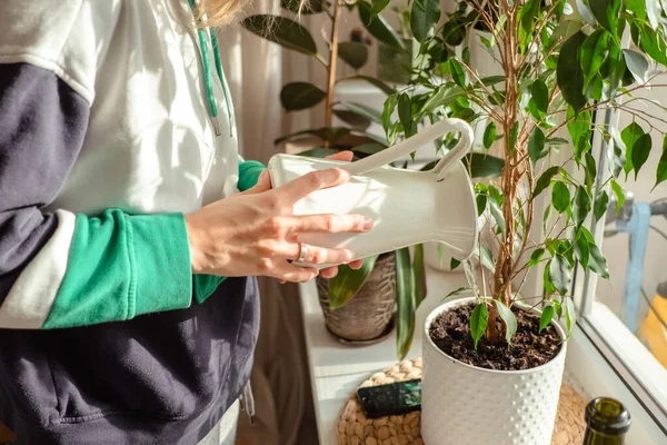 Woman's hands watering plants in home. Making homework. Domestic life concept — Stock Photo, Image