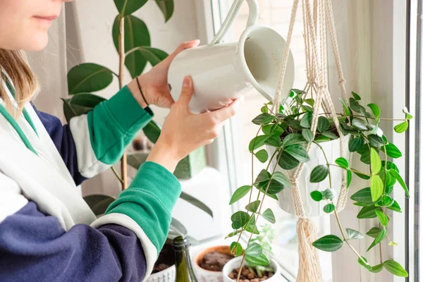 Womans hands watering plants in home. Making homework. Domestic life concept — Stock Photo, Image