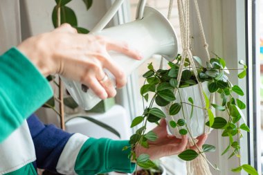 Kadınlar evde çiçekleri sularken ellerini kullanırlar. Ödev yapıyorum. Ev hayatı kavramı