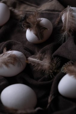 Karanlık ruh hali konseptinde paskalya yumurtaları siyah tekstil arka planında kuş tüyü ile ışık