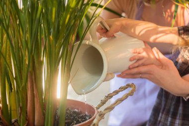 Genç ve çekici bir kadın, yeni yürümeye başlayan kızıyla evde çiçekleri suluyor. Ev işi yapmak
