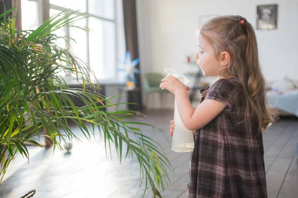 Μικρό χαριτωμένο κοριτσάκι πότισμα φοίνικα στο σπίτι. καθιστώντας την έννοια της οικιακής εργασίας — Φωτογραφία Αρχείου