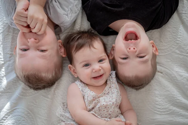 Top view of toddler brothers and sister laying in bed together. Lifestyle family concept — Stock Photo, Image
