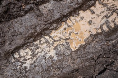 Kamyon hattı desenli ıslak çamur. Yağmurlu bahar günleri