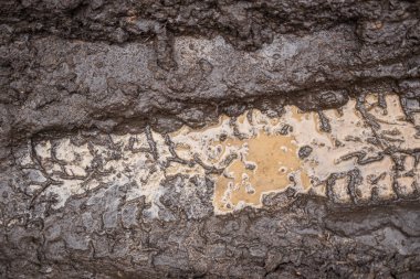 Kamyon hattı desenli ıslak çamur. Yağmurlu bahar günleri