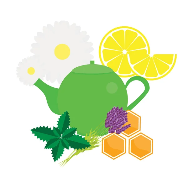 Τσαγιέρα με βότανα και φρούτα. Εικονογράφηση διάνυσμα βραστήρα πράσινο τσάι — Διανυσματικό Αρχείο