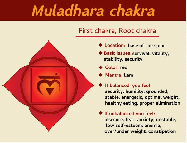 Muladhara çakra Infographic. İlk, kök çakra sembolü açıklama ve özellikler. Kundalini yoga için bilgi