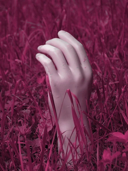 Manekin Tangan Rumput Merah Muda Konsep Foto Kreatif — Stok Foto