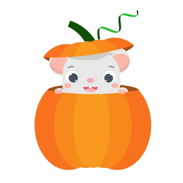 Cartoon mouse. Little Cute rat sit in pumpkin — Vettoriale Stock