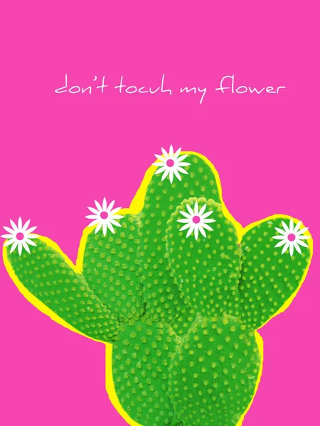 Blooming cactus on colorful pink background and text Don\'t touch my flowers. Funny poster, print. Modern collage