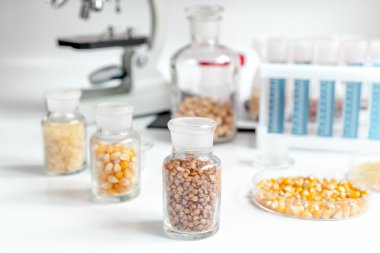 cam şişeleri analiz Laboratuvar tahıl