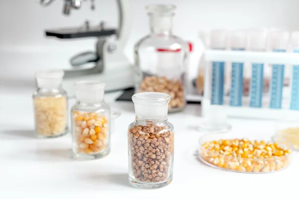 Céréales en flacons de verre pour analyse en laboratoire — Photo