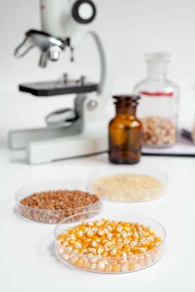 Laboratorio de análisis de alimentos prueba de cereales nadie — Foto de Stock