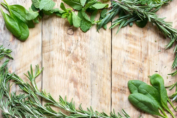 Menta, rosmarino, timo - erbe fresche per cucinare vista dall'alto — Foto Stock