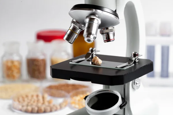 Gıda kalite kontrol Laboratuvarı nohut içinde hiç kimse