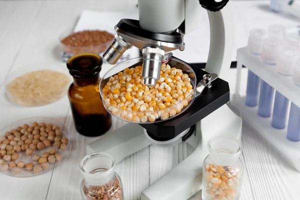 Laboratorio de análisis de alimentos prueba de cereales nadie de cerca — Foto de Stock