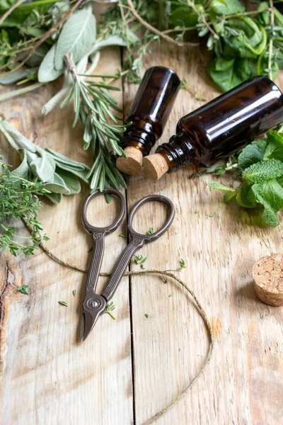 ahşap arka plan üzerinde baharatlı taze otlar