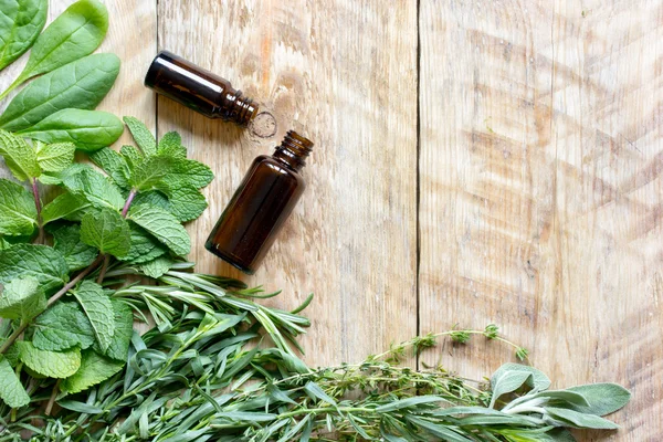 ahşap arka plan üzerinde baharatlı taze otlar