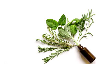 nane, adaçayı, biberiye, kekik - aromaterapi beyaz arka plan