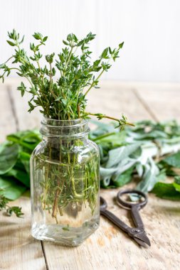 taze yaz otlar - ahşap arka plan, Aromaterapi
