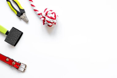 beyaz arkaplan görünümünde konsept hayvan bakımı ve eğitim