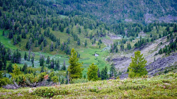 Paesaggio montano estivo. Veduta delle colline e dei prati sul lago Baikal, Russia — Foto Stock