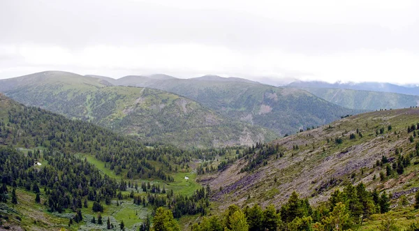 Yaz dağ manzarası. Tepeler ve çayırlar görünümünü Deniz Baykal, Rusya