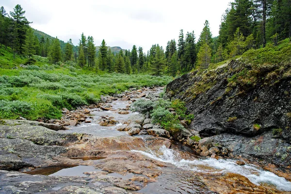 Paisaje de verano con río de montaña en las montañas cerca del lago Baikal — Foto de Stock