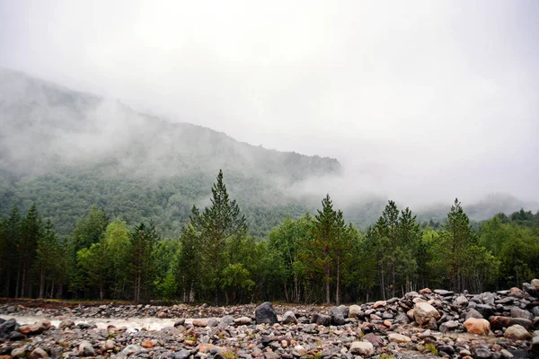 令人惊叹的自然观的绿色山地森林和树生长在岩石上，自然景观角度来看，高加索，俄罗斯 — 图库照片