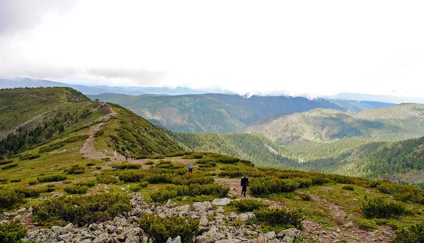 Yaz dağ manzarası. Tepeler ve çayırlar görünümünü Deniz Baykal, Rusya