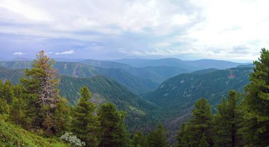Yaz dağ manzarası. Tepeler ve çayırlar görünümünü Deniz Baykal, Rusya