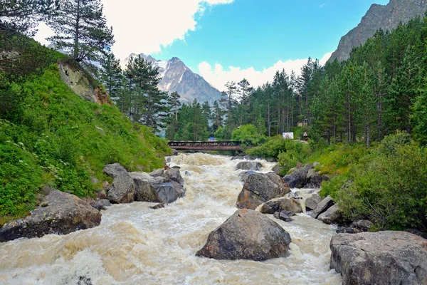 河流和瀑布在森林里，俄罗斯高加索山脉 — 图库照片#