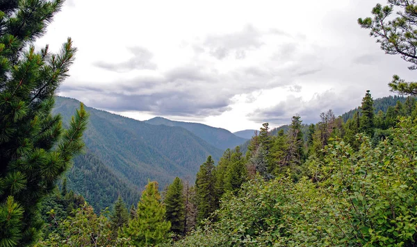 Yaz dağ manzarası. Tepeler ve çayırlar görünümünü Deniz Baykal, Rusya