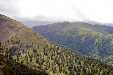 Yaz dağ manzarası. Tepeler ve çayırlar görünümünü Deniz Baykal, Rusya