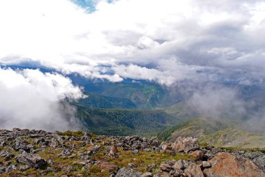 Yaz dağ manzarası. Tepeler ve çayırlar görünümünü Deniz Baykal, Rusya