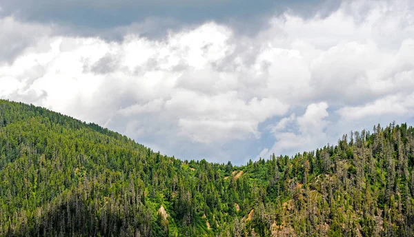 Paesaggio montano estivo. Veduta delle colline e dei prati sul lago Baikal, Russia — Foto Stock