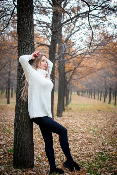 美丽的女人在秋天的公园里摆姿势 — 图库照片