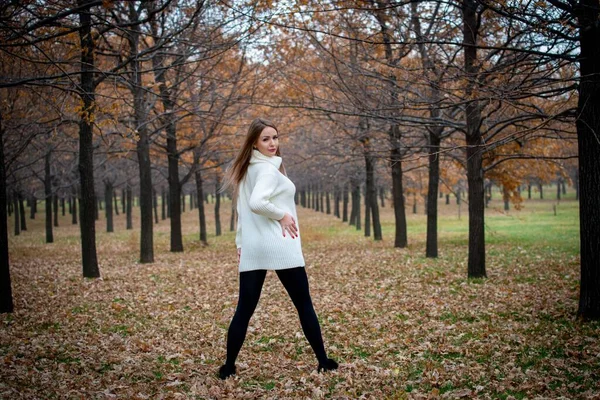 Bela Mulher Posando Livre Parque Outono — Fotografia de Stock