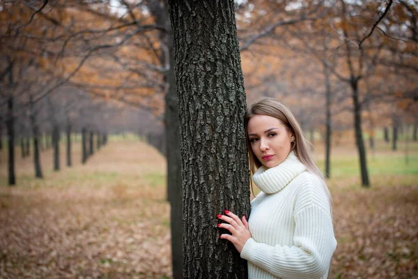 Красивая Женщина Позирует Открытом Воздухе Осеннем Парке — стоковое фото