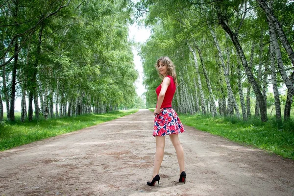 Junge Schöne Frau Posiert Auf Gasse Mit Birken — Stockfoto