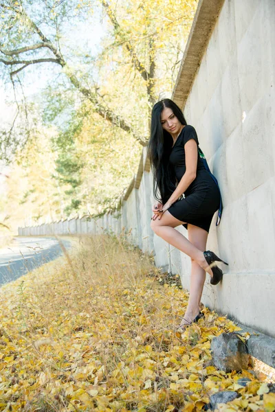 Hermosa Mujer Morena Posando Aire Libre Usando Vestido Negro — Foto de Stock