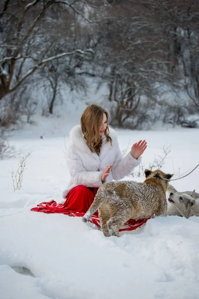 Bella Ragazza Con Cucciolo Leone — Foto Stock