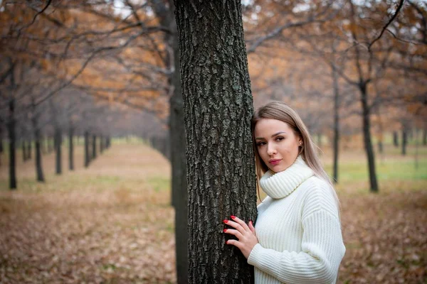 Schöne Frau Posiert Draußen Herbst Park — Stockfoto